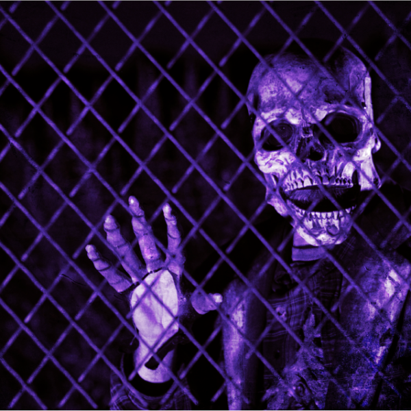 HAYRIDE CEMETERY 4