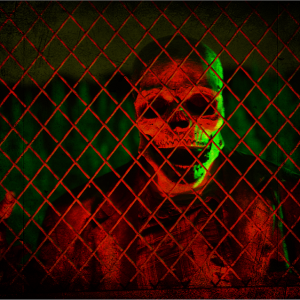 HAYRIDE CEMETERY FENCE 2