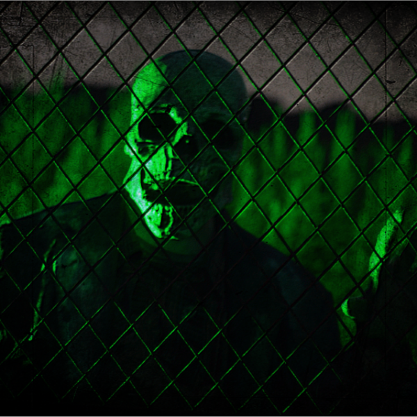 HAYRIDE CEMETERY FENCE 3
